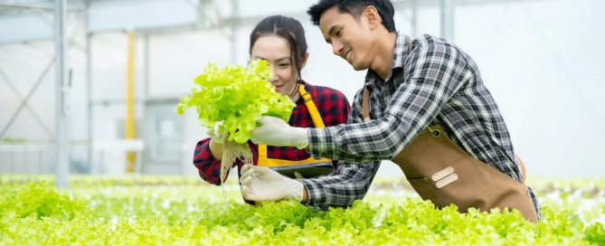 FAQs Hydroponics Recruiting